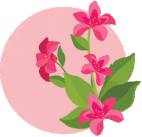 Summer Birthday Sticker by PRO-MIX Gardening