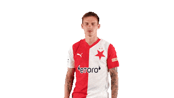 Football Soccer Sticker by SK Slavia Praha