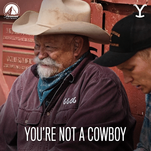 Paramount Network GIF by Yellowstone