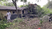 Ap GIF by Clean The City Inc.