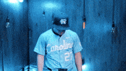 University Of North Carolina Baseball GIF by UNC Tar Heels