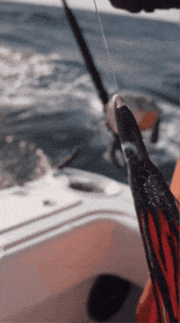 Fishing Tackle Boat GIF by AFW Fishing Brands