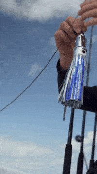 Fishing Tackle Fish GIF by AFW Fishing Brands