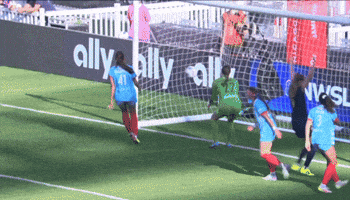 Seattlereign GIF by National Women's Soccer League