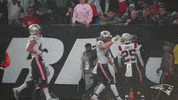 Football Sport GIF by New England Patriots