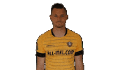 Bundesliga Celebrate Sticker by SG Dynamo Dresden