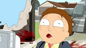 Season 1 Episode 6 GIF by Rick and Morty