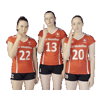 Eurovolley Swissvolley Sticker by NUCVolleyball