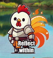 Reflection Clarity GIF by Zorooster