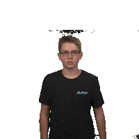 Pickleball Sticker by APP