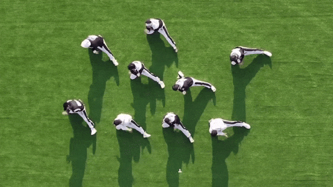 Dance 세븐틴 GIF