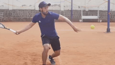 fernandoron giphygifmaker GIF