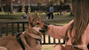 Happy Dog GIF by PeacockTV