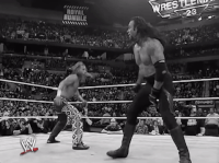 Royal Rumble Wrestling GIF by WWE