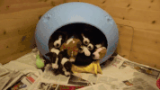 GIF by Demic