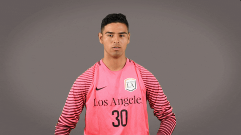 Division Ii Soccer GIF by Cal State LA Golden Eagles