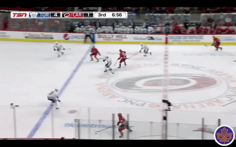 toronto maple leafs GIF