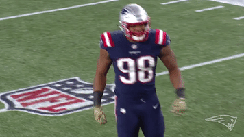 2018 nfl football GIF by New England Patriots