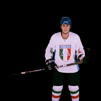 federazioneghiaccio hockey ice wintersport sportinvernali GIF