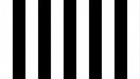 Happy Dance GIF by SK Sturm Graz