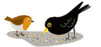 Bird Feeder Sticker by BirdLife Oesterreich