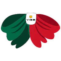 Mexico Sticker by VISE México