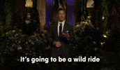 Jesse Palmer Abc GIF by The Bachelorette