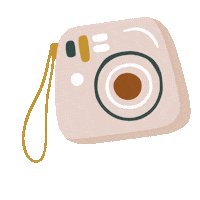 Instagram Camera Sticker by VIPAPIER