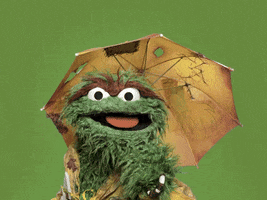 Raining Oscar The Grouch GIF by Sesame Street