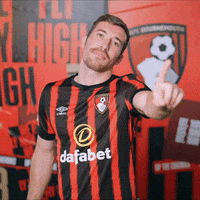 Football No GIF by AFC Bournemouth