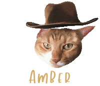 Cat Ginger Sticker