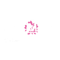 LashMoi bowie annapolis crofton lash moi Sticker