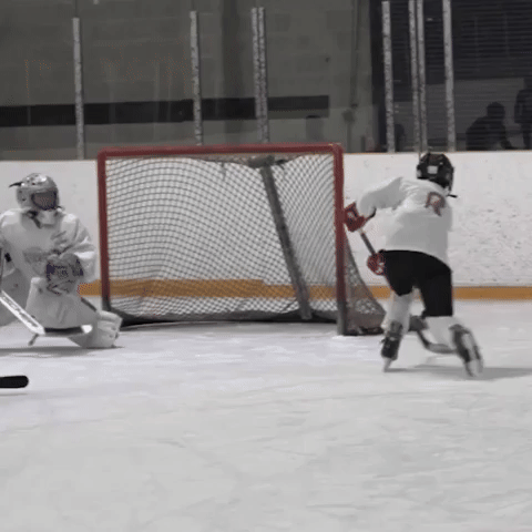 Hockey Diversity Alliance