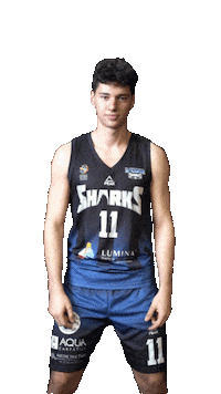 LagunaSharks basketball 11 romania slam Sticker