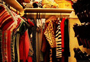 closet GIF