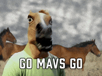 Go Mavs Go