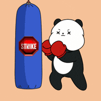 Fight Sparring GIF by Kanpai Pandas