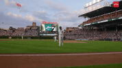 Chicago Cubs Baseball GIF