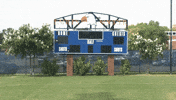 joe boyd cnms18 GIF by Carson-Newman Athletics