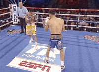 toprank fight fighting espn fighters GIF