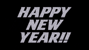 GIF by Hofstra Pride