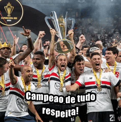 Spfcnacao_ palmeiras santos tricolor corinthians GIF