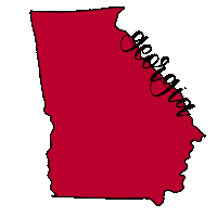 Go Georgia Bulldogs Sticker