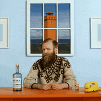 ReykaVodka surprise hey you got it questionable GIF