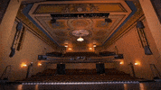 Operahouse GIF by OPERA America