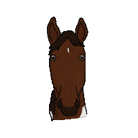 Horse Breathe Sticker by bitopEQUI