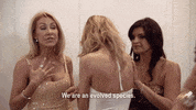 real housewives GIF by RealityTVGIFs