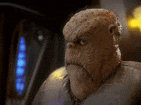 GIF by Giphy QA