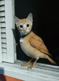 H R GIF