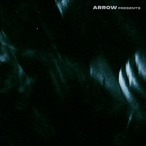 Texas Chainsaw Massacre Film GIF by Arrow Video